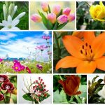 Dịch vụ giải thể công ty trọn gói tại Huyện Từ Liêm 6 Cần dịch vụ giải thể doanh nghiệp tại Huyện Từ Liêm