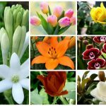 Dịch vụ giải thể công ty trọn gói tại Lâm Đồng 6 Cần dịch vụ giải thể doanh nghiệp tại Lâm Đồng