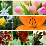 Dịch vụ giải thể công ty trọn gói tại Nghệ An 6 Cần dịch vụ giải thể doanh nghiệp tại Nghệ An