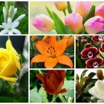 Dịch vụ giải thể công ty trọn gói tại Nha Trang 6 Cần dịch vụ giải thể doanh nghiệp tại Nha Trang