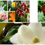 Dịch vụ giải thể công ty trọn gói tại Ninh Thuận 6 Cần dịch vụ giải thể doanh nghiệp tại Ninh Thuận