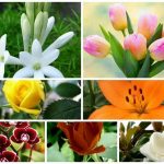 Dịch vụ giải thể công ty trọn gói tại Phú Yên 6 Cần dịch vụ giải thể doanh nghiệp tại Phú Yên