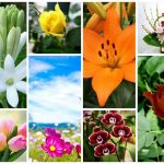 Dịch vụ giải thể công ty trọn gói tại Quận 12 6 Cần dịch vụ giải thể doanh nghiệp tại Quận 12