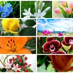 Dịch vụ giải thể công ty trọn gói tại Quận 2 6 Cần dịch vụ giải thể doanh nghiệp tại Quận 2