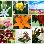Dịch vụ giải thể công ty trọn gói tại Quận Ba Đình 6 Cần dịch vụ giải thể doanh nghiệp tại Quận Ba Đình