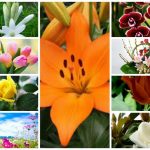 Dịch vụ giải thể công ty trọn gói tại Quận Bắc Từ Liêm 6 Cần dịch vụ giải thể doanh nghiệp tại Quận Bắc Từ Liêm