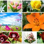 Dịch vụ giải thể công ty trọn gói tại Quận Bình Thạnh 6 Cần dịch vụ giải thể doanh nghiệp tại Quận Bình Thạnh