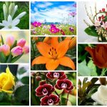 Dịch vụ giải thể công ty trọn gói tại Quận Cầu Giấy 6 Cần dịch vụ giải thể doanh nghiệp tại Quận Cầu Giấy