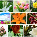 Dịch vụ giải thể công ty trọn gói tại Quận Đống Đa 6 Cần dịch vụ giải thể doanh nghiệp tại Quận Đống Đa