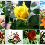 Dịch vụ giải thể công ty trọn gói tại Quận Hà Đông 6 Cần dịch vụ giải thể doanh nghiệp tại Quận Hà Đông