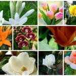 Cần dịch vụ giải thể doanh nghiệp tại Quận Hải An