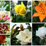 Dịch vụ giải thể công ty trọn gói tại Quận Hải Châu 6 Cần dịch vụ giải thể doanh nghiệp tại Quận Hải Châu