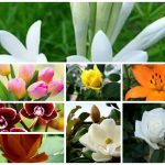 Cần dịch vụ giải thể doanh nghiệp tại Quận Liên Chiểu