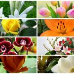 Dịch vụ giải thể công ty trọn gói tại Quận Nam Từ Liêm uy tín, giá rẻ 8 Cần dịch vụ giải thể doanh nghiệp tại Quận Nam Từ Liêm