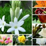 Dịch vụ giải thể công ty trọn gói tại Quận Ngũ Hành Sơn 6 Cần dịch vụ giải thể doanh nghiệp tại Quận Ngũ Hành Sơn