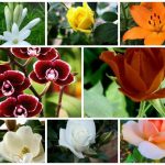 Dịch vụ giải thể công ty trọn gói tại Quận Ô Môn 6 Cần dịch vụ giải thể doanh nghiệp tại Quận Ô Môn