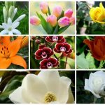 Dịch vụ giải thể công ty trọn gói tại Quảng Bình 6 Cần dịch vụ giải thể doanh nghiệp tại Quảng Bình