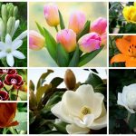 Dịch vụ giải thể công ty trọn gói tại Quảng Ninh 6 Cần dịch vụ giải thể doanh nghiệp tại Quảng Ninh