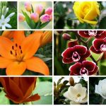 Dịch vụ giải thể công ty trọn gói tại Quảng Trị 6 Cần dịch vụ giải thể doanh nghiệp tại Quảng Trị