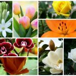 Dịch vụ giải thể công ty trọn gói tại Thái Bình 6 Cần dịch vụ giải thể doanh nghiệp tại Thái Bình