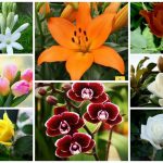 Dịch vụ giải thể công ty trọn gói tại Thái Nguyên 6 Cần dịch vụ giải thể doanh nghiệp tại Thái Nguyên