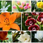 Dịch vụ giải thể công ty trọn gói tại Thanh Hóa uy tín, nhanh chóng và đúng pháp luật 12 Cần dịch vụ giải thể doanh nghiệp tại Thanh Hóa