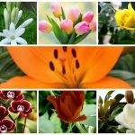 Dịch vụ giải thể công ty trọn gói tại Thành Phố Huế 6 Cần dịch vụ giải thể doanh nghiệp tại Thành Phố Huế