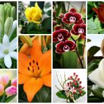 Dịch vụ giải thể công ty trọn gói tại Thị Xã Sơn Tây 6 Cần dịch vụ giải thể doanh nghiệp tại Thị Xã Sơn Tây