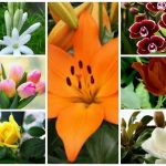 Cần dịch vụ giải thể doanh nghiệp tại Thừa Thiên Huế