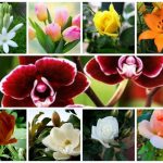 Cần dịch vụ giải thể doanh nghiệp tại TP Hải Phòng