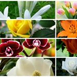 Dịch vụ giải thể công ty trọn gói tại Tuyên Quang 6 Cần dịch vụ giải thể doanh nghiệp tại Tuyên Quang