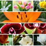 Dịch vụ giải thể công ty trọn gói tại Vĩnh Phúc 6 Cần dịch vụ giải thể doanh nghiệp tại Vĩnh Phúc