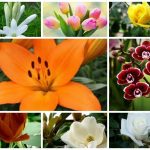 Dịch vụ giải thể công ty trọn gói tại Vũng Tàu 6 Cần dịch vụ giải thể doanh nghiệp tại Vũng Tàu