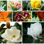 Cần dịch vụ giải thể doanh nghiệp tại Yên Bái 