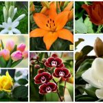 Đăng ký thành lập văn phòng đại diện tại Gia Lai 6 Muốn thành lập văn phòng đại diện tại Gia Lai