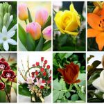 Đăng ký thành lập văn phòng đại diện tại Huyện Nhà Bè 6 Muốn thành lập văn phòng đại diện tại Huyện Nhà Bè