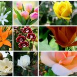 Đăng ký thành lập văn phòng đại diện tại Ninh Thuận 6 Muốn thành lập văn phòng đại diện tại Ninh Thuận