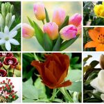 Muốn thành lập văn phòng đại diện tại Quận 3
