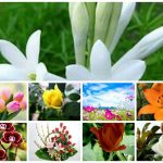 Đăng ký thành lập văn phòng đại diện tại Quảng Bình 6 Muốn thành lập văn phòng đại diện tại Quảng Bình