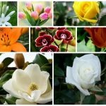 Đăng ký thành lập văn phòng đại diện tại Thái Nguyên 6 Muốn thành lập văn phòng đại diện tại Thái Nguyên