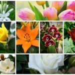 Muốn thành lập văn phòng đại diện tại Yên Bái