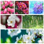 Dịch vụ giải thể công ty giá rẻ tại Huyện Sóc Sơn 6 Muốn giải thể công ty giá rẻ tại Huyện Sóc Sơn
