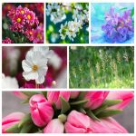 Dịch vụ giải thể công ty giá rẻ tại Huyện Thanh Oai 6 Muốn giải thể công ty giá rẻ tại Huyện Thanh Oai