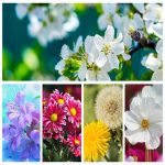 Dịch vụ giải thể công ty giá rẻ tại Kiên Giang 6 Muốn giải thể công ty giá rẻ tại Kiên Giang