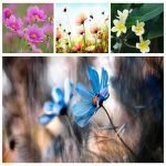 Dịch vụ giải thể công ty tại Huyện Gia Lâm trọn gói uy tín 6 Muốn giải thể công ty tại Huyện Gia Lâm