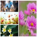 Muốn giải thể công ty tại Quận 12
