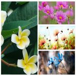 Giải thể công ty tại Quận Tân Phú trọn gói uy tín – Nhanh chóng, giá rẻ 8 Muốn giải thể công ty tại Quận Tân Phú