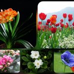 Dịch vụ giải thể công ty tại An Giang – 3.000.000 6 Muốn dịch vụ giải thể doanh nghiệp tại An Giang – 3.000.000