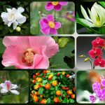 Dịch vụ giải thể công ty tại Bắc Giang uy tín – nhanh chóng – trọn gói 6 Muốn dịch vụ giải thể doanh nghiệp tại Bắc Giang – 3.000.000