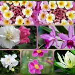 Dịch vụ giải thể công ty tại Thành phố Sông Công- 3.000.000 6 Muốn dịch vụ giải thể doanh nghiệp tại Thành phố Sông Công – 3.000.000